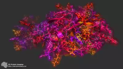 Coronavirus and the double impact on Australia