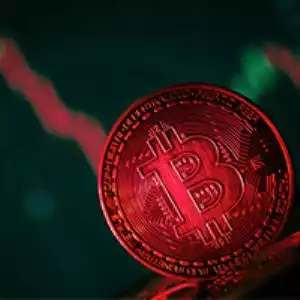 The FTX Collapse, On-Chain