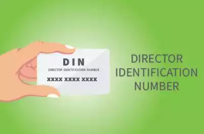 INSIGHTS: cass smith on director id number chaos