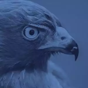 Fed Hawknado Smashes Markets – Start of next leg down?
