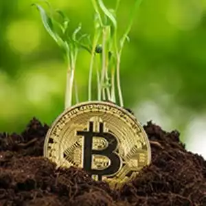Discovering the Exciting New Frontier in Bitcoin: The Emergence of Ordinals and Inscriptions on the Blockchain