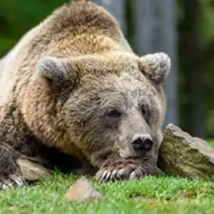 End of an Extended Bear Market: The Latest Bitcoin Market Analysis