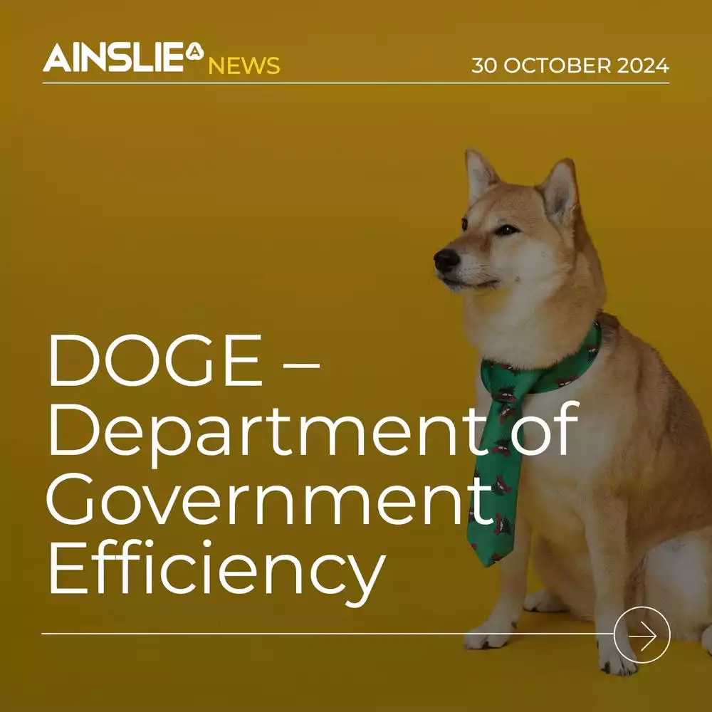 DOGE – Department of Government Efficiency