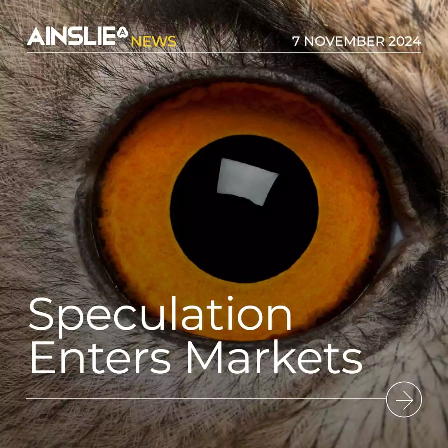 Speculation Enters Most Markets – But Which Ones Survive?