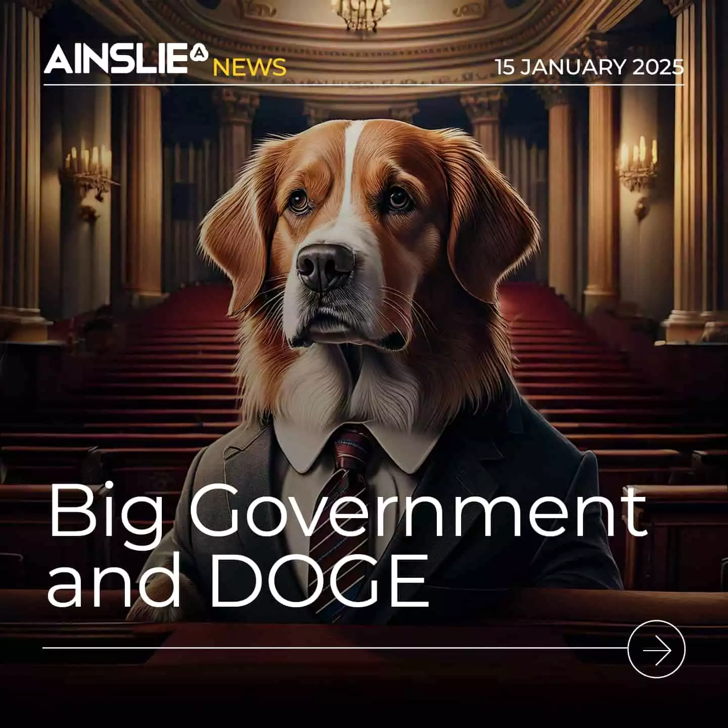 Big Government, DOGE, and Sound Money