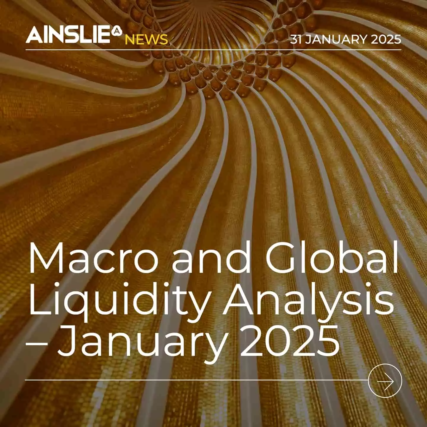 Macro and Global Liquidity Analysis: Gold, Silver, and Bitcoin – January 2025