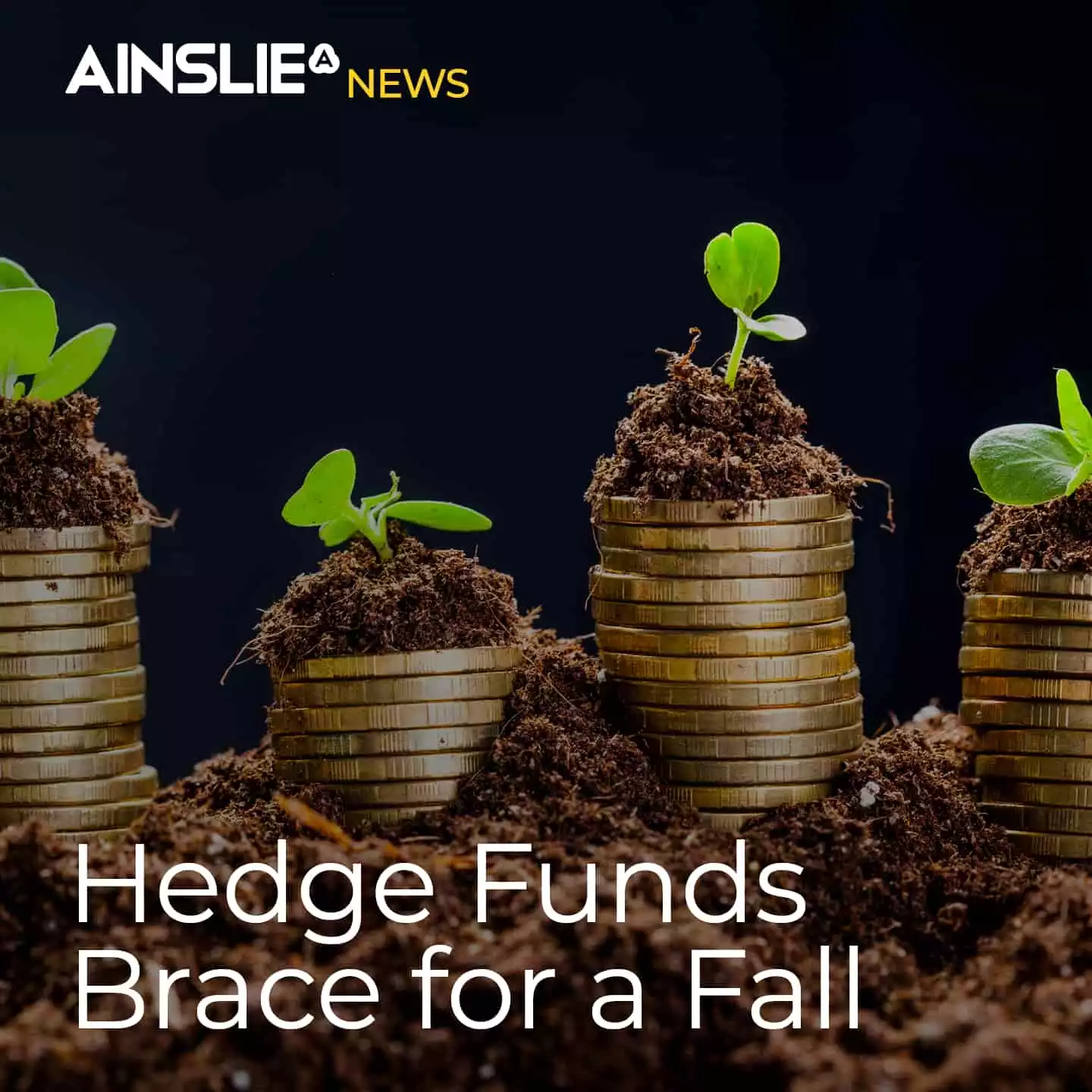 Hedge Funds Brace for a Fall 