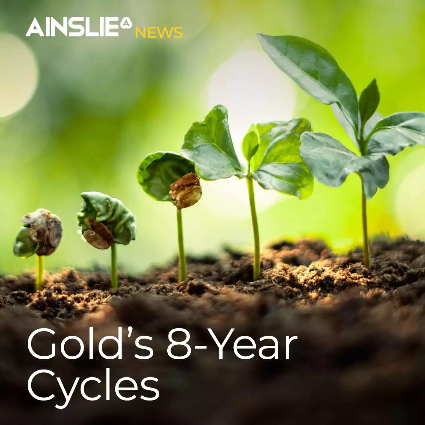Gold’s 8-Year Cycles - We Haven’t Seen Anything Yet! 